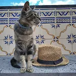 Quinta Terezinha リベイラ・ブラーヴァ
