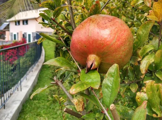 Quinta Terezinha Фермерский дом *