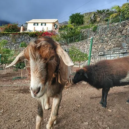 Quinta Terezinha * Ribeira Brava