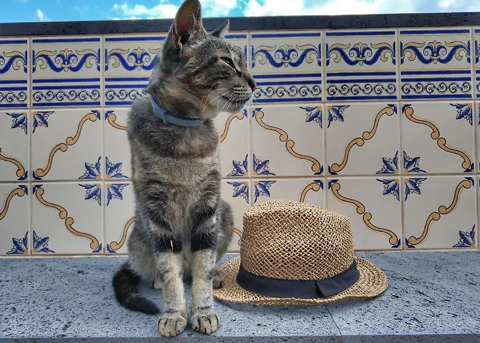 Quinta Terezinha Ribeira Brava